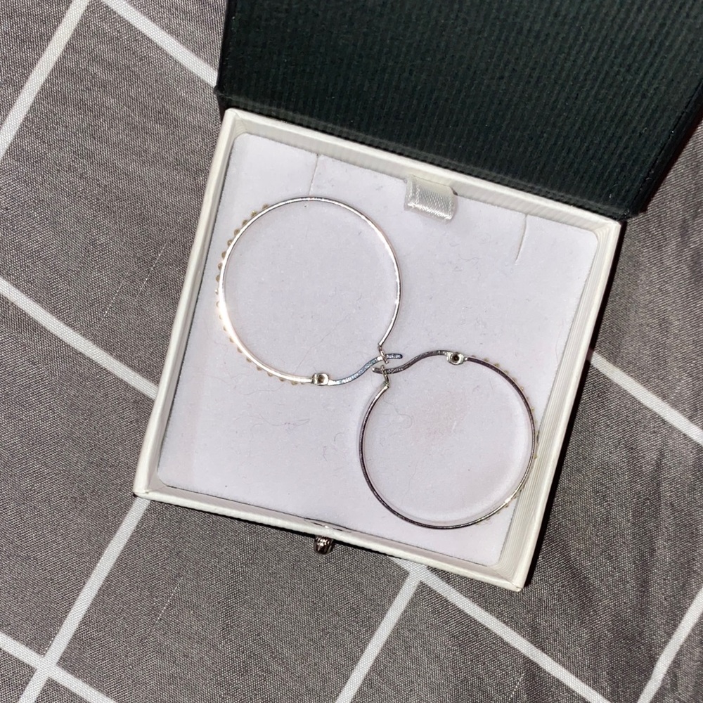 Elegant Silver Hoop Earrings